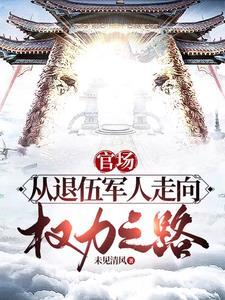 权力:巅峰之路 权力:巅峰之路